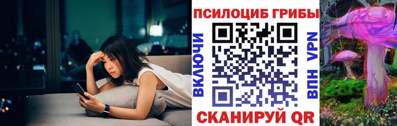 Купить где  Новопавловск  Псилоцибиновые грибы GOLDEN TEACHER 